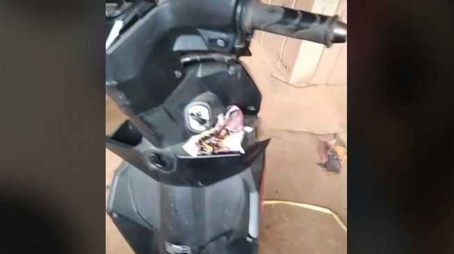 Bapak-bapak review sepeda motor matic. (TikTok/arifo_jr_ibra66)