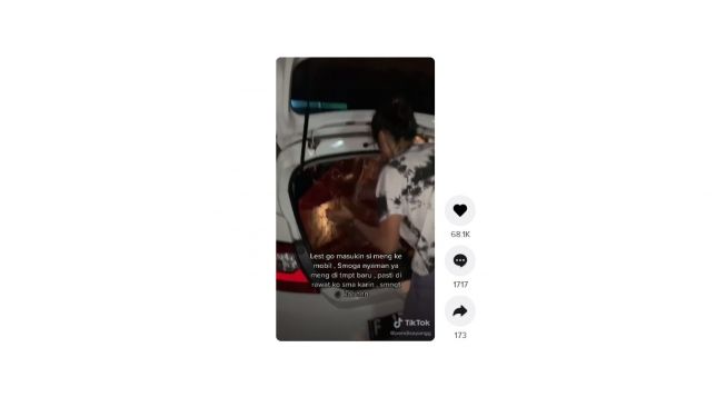 Aksi warganet bawa pulang kucing tuai pujian. [TikTok]