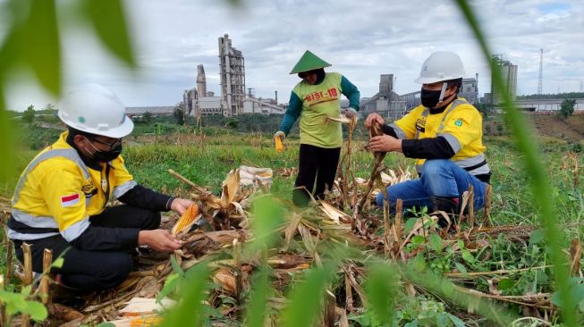 Semen Gresik Gelar Rangkaian Panen Raya, Sediakan 58 Hektar Lahan