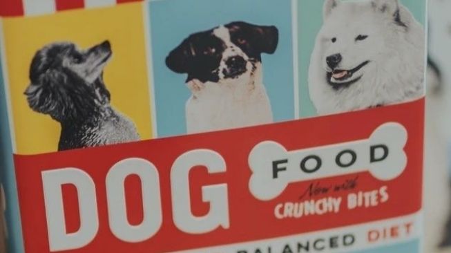 Hati-hati! Selain Cokelat, 5 Makanan Ini Juga Berbahaya untuk Anjing