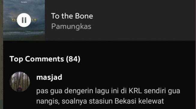 Kisah warganet gagal berhenti di Stasiun Bekasi karena keasyikan mendengar lagu.[Twitter/@txtdrbekasi]