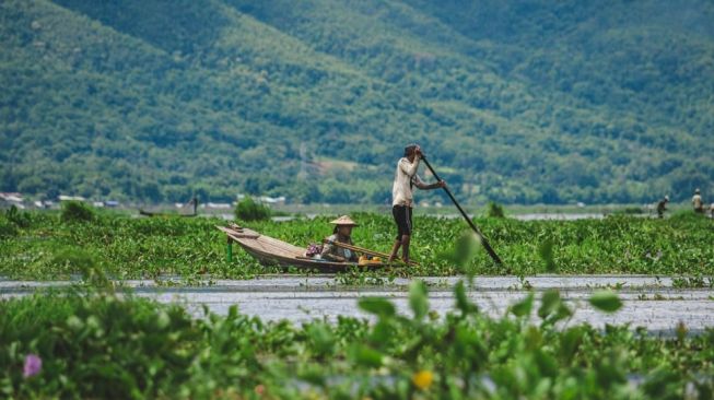 Dinas Aceh Barat Gandeng Startup Ekosis untuk Bantu Kembangkan Agribisnis