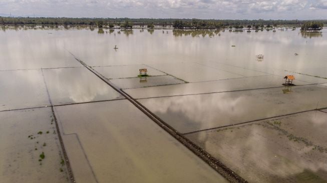 Foto udara lahan pertanian yang terendam banjir di Kecamatan Padaherang, Kabupaten Pangandaran, Jawa Barat, Jumat (26/3/2021). [ANTARA FOTO/Adeng Bustomi]