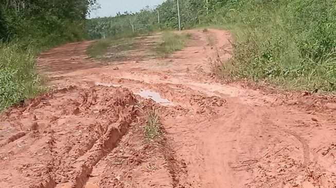 Jalan Akses Menuju Jalan Tol Lampung di Mesuji Rusak Parah