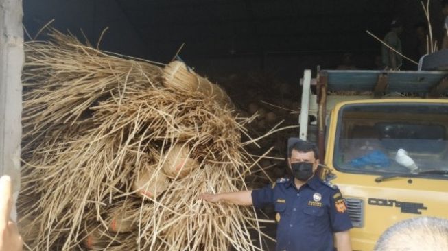 Kapal Dicegat di Perairan Kalbar, 100 Ton Rotan Gagal Diselundupkan