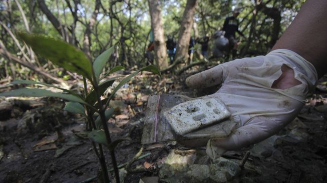Aktivis lingkungan memungut sampah plastik yang berserakan di Hutan Mangrove Wonorejo, Surabaya, Jawa Timur, Sabtu (27/3/2021). [ANTARA FOTO/Didik Suhartono]