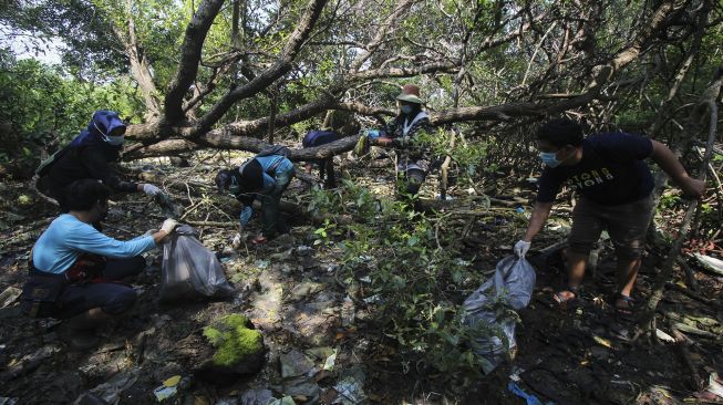 Aktivis lingkungan memungut sampah plastik yang berserakan di Hutan Mangrove Wonorejo, Surabaya, Jawa Timur, Sabtu (27/3/2021). [ANTARA FOTO/Didik Suhartono]