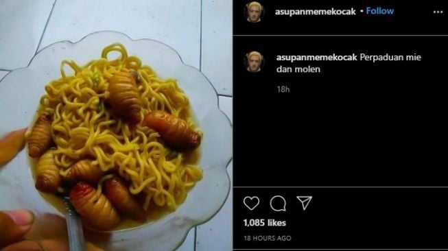 Mie topping ulat (Instagram)