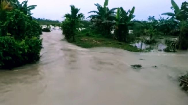 Banjir Rusak Puluhan Hektare Lahan Warga Pessel, Pemkab: Tak Ada Ganti Rugi