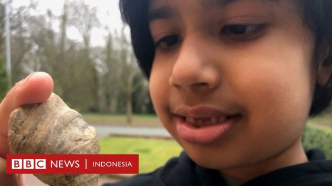 Bocah 6 Tahun Temukan Fosil Berusia Jutaan Tahun di Kebun Belakang Rumahnya