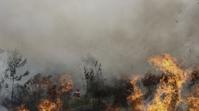 Satgas Kebakaran Hutan dan Lahan (Karhutla) Riau yang terdiri dari petugas Manggala Agni Daops Pekanbaru, BPBD Pekanbaru, Masyarakat Peduli Api dan TNI Polri berusaha memadamkan api yang membakar lahan ketika terjadi kebakaran lahan di Pekanbaru, Riau, Jumat (2/4/2021). [ANTARA FOTO/Rony Muharrman]