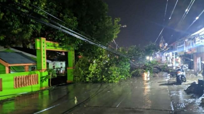 Hujan badai menyebabkan sejumlah pohon di Kota Makassar tumbang dan menutup jalan, Jumat 2 April 2021 / [SuaraSulsel.id / Istimewa]