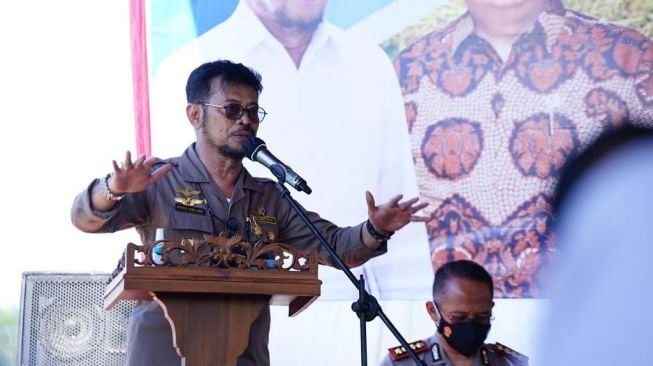 Anggaran KUR Pertanian Capai Rp90 Triliun, Mentan Dorong Petani Kembangkan Budi Daya