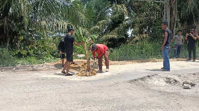 Jalan Rusak, Warga Bungaraya Siak Kompak Tambal Lubang-Tanam Pohon Pisang