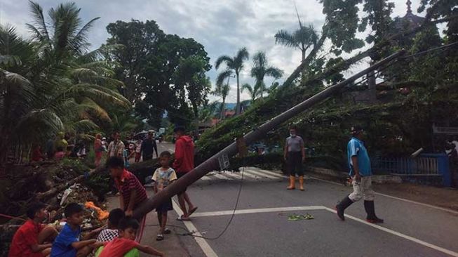 Badai Tumbangkan Puluhan Pohon di Kota Padang, 1 Warga Meninggal