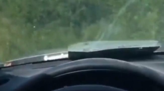 Mobil Nyungsep ke Semak Gegara Pacar Baca Google Maps, Warganet Tepok Jidat