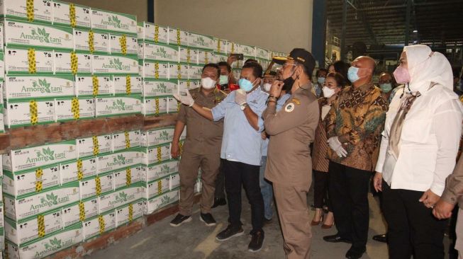 Panen Raya di Karawang, Mentan Soroti Soal Penyerapan Gabah