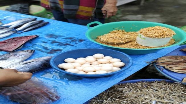 Mahasiswa KKN Bikin Konten Makan Telur Penyu di Majene, Sahabat Penyu: Dilarang
