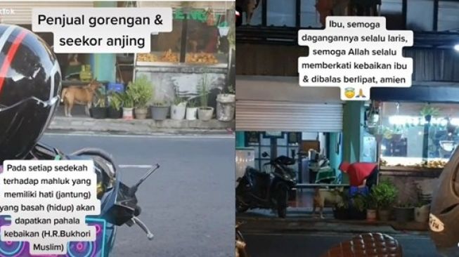 Aksi Mulia Ibu Berhijab Beri Makan Anjing Gorengan Sukses Bikin Haru