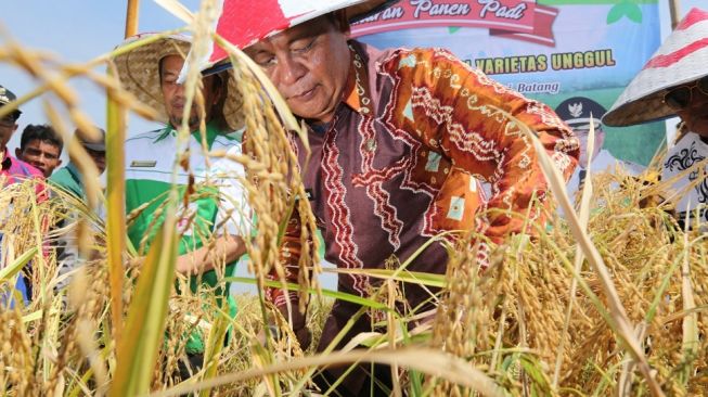 Surplus Beras Sejak 2016, Kalsel Cetak Sejarah Ketahanan Pangan