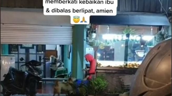 Kasih Makan Anjing Liar, Aksi Ibu Berhijab Ini Ini Tuai Pujian. (Dok: TikTok/TioRuss)