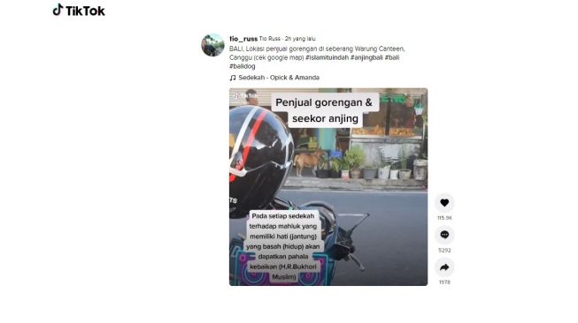 Penjual gorengan dan anjing. [TikTok]