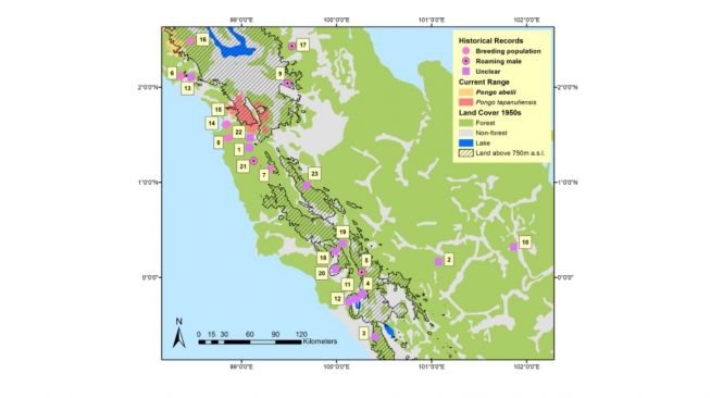 Penyebaran orangutan tapanuli. [Plos One]