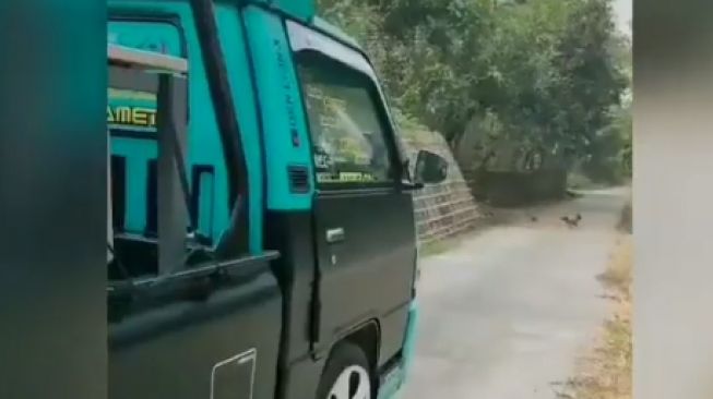 Modifikasi mobil pikap antimainstream (Instagram)