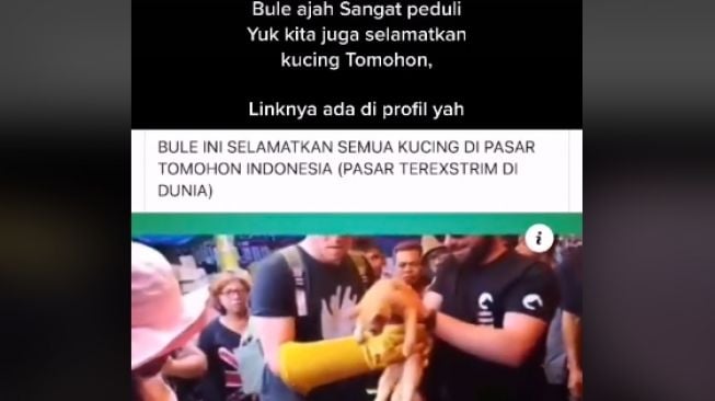 Bule selamatkan kucing di pasar Tomohon (tiktok.com/@bimbim.clow)