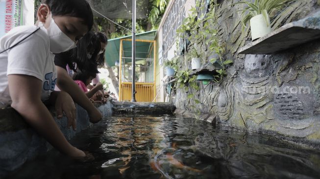 Sejumlah anak memberi makan ikan hias di ruang edukasi anak di halaman Kantor Kelurahan Karet, Jakarta, Rabu (7/4/2021). [Suara.com/Angga Budhiyanto]