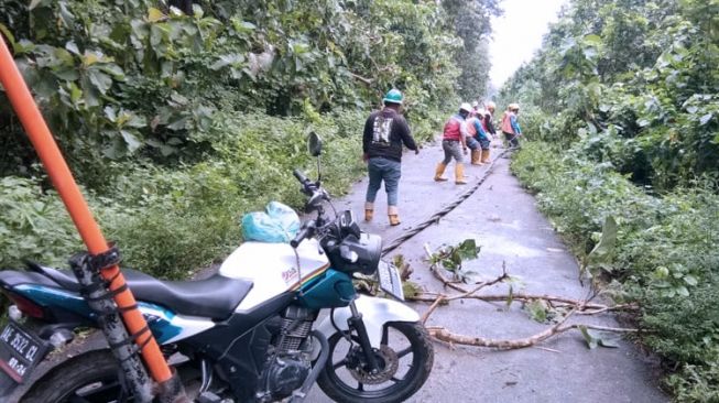 Listrik di Destinasi Wisata Alas Purwo Padam, 18 Tiang Roboh