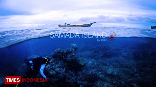 Seho Dive Encourages Society to Protect the Sea at Taliabu Island