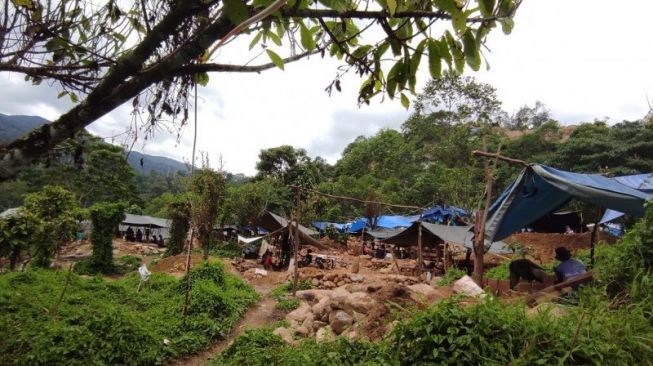 Cerita Ibu Leni di Sigi, Gegara Bawa Batu dari Lokasi PETI Kini Masuk Bui