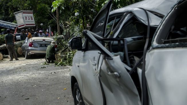 Petugas Dinas Perumahan dan Kawasan Permukiman, Pertanahan dan Pertamanan (Dpkp3) Kota Bandung mengevakuasi pohon tumbang yang menimpa mobil di Bandung, Jawa Barat, Kamis (8/4/2021). ANTARA FOTO/Novrian Arbi

