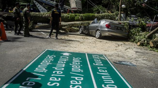 Petugas Dinas Perumahan dan Kawasan Permukiman, Pertanahan dan Pertamanan (Dpkp3) Kota Bandung mengevakuasi pohon tumbang yang menimpa mobil di Bandung, Jawa Barat, Kamis (8/4/2021). ANTARA FOTO/Novrian Arbi

