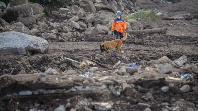 Bertambah, Korban Tewas Akibat Siklon Tropis Seroja NTT Jadi 163 Orang