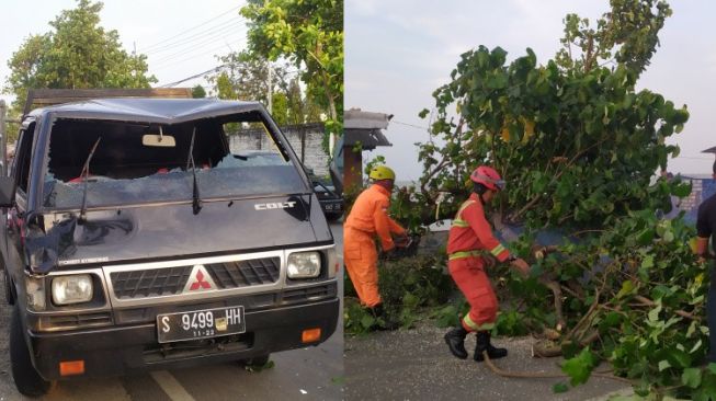 Ringsek, Mobil Tertimpa Pohon di Jalur Pantura Tuban 