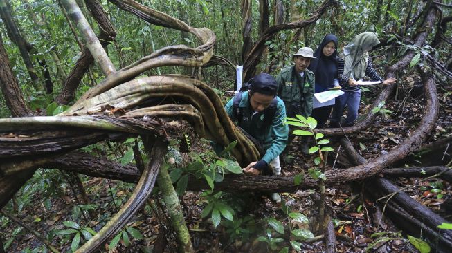 Manejer Stasiun Riset Soraya Prof Ibrahim (dua kiri) mendampingi mahasiswa jurusan Biologi Fakultas Sains dan Teknologi Universitas Islam Negeri (UIN) Ar-Raniry saat melakukan penelitian di Stasiun Riset Soraya, Kota Subulussalam, Aceh, Rabu (7/4/2021). [ANTARA FOTO/Syifa Yulinnas]