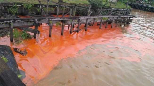 Tumpahan Minyak Sawit di Sungai Mahakam, Jatam Minta Pemerintah Investigasi