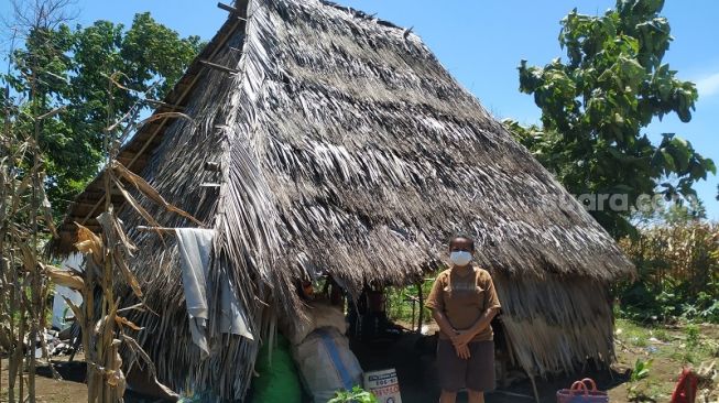 Takut Corona, Ibu Halim Korban Bencana NTT Memilih Mengungsi di Kebun