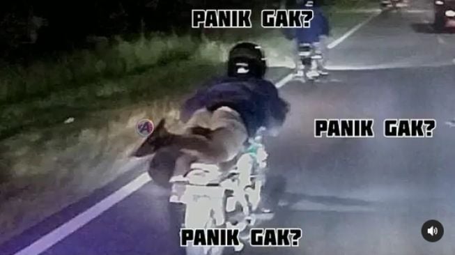 Aksi Pria Berkendara bak Superman di Atas Motor, Endingnya Bikin Panik