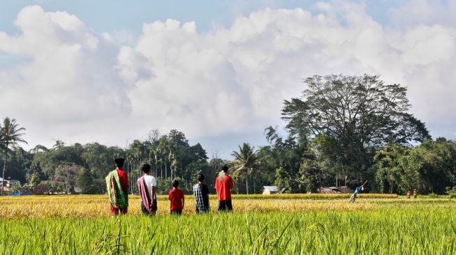 Antisipasi Gagal Panen, Kementan Ajak Petani OKU Timur Manfaatkan Asuransi