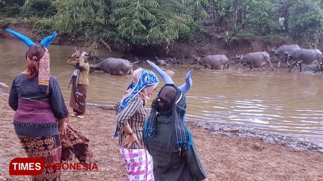 Kampung Kerbau Ngawi, Destinasi Wisata ala Afrika