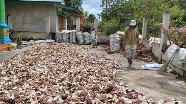Daftar Harga Kelapa Butiran, Kopra hingga Pinang Kering di Riau