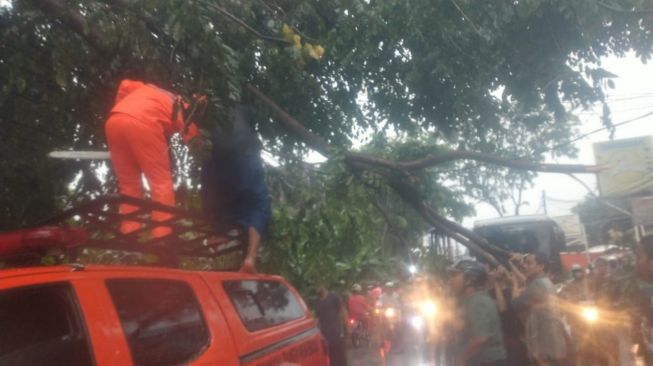 Hujan Es, Sejumlah Pohon di Bekasi Tumbang