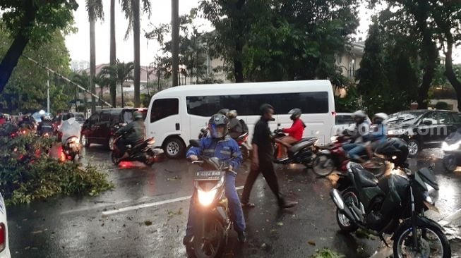 Ditutup Gegara Pohon Tumbang, Jalan Hang Tuah Menuju Blok M Macet Parah