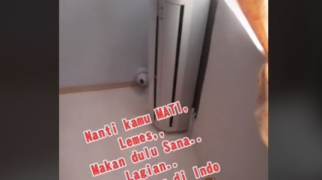 TKW ngakak dengar pesan majikan saat puasa. (TikTok)