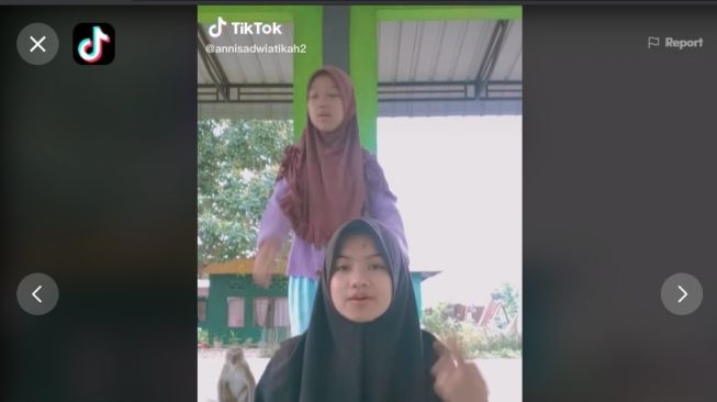 Asyik Main TikTok, Handphone Cewek Ini Malah Dibawa Lari Monyet