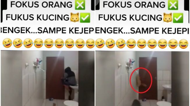 Kocak! Pria ini Ketakutan Ketemu Tikus, Kucingnya Juga Ikutan Takut