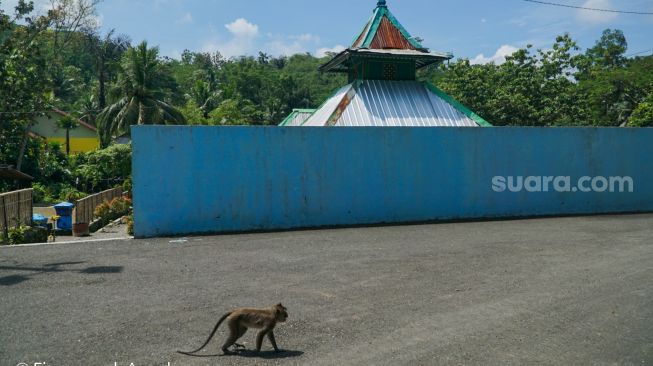 Kisah Santri Malas Dikutuk Jadi Monyet Ekor Panjang Di Banyumas